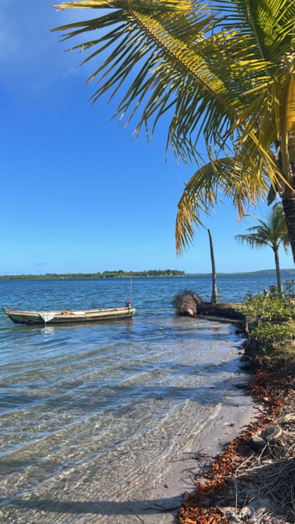 The Taste of Distance